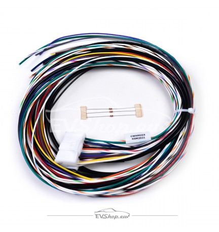 Orion 2 Main I/O Wiring Harness – 6 ft