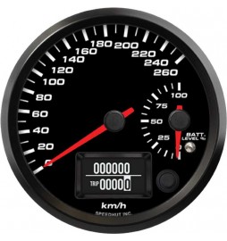Doppio indicatore EV (con avviso) - Tachimetro 260 km/h / Livello batteria 101 mm (4")